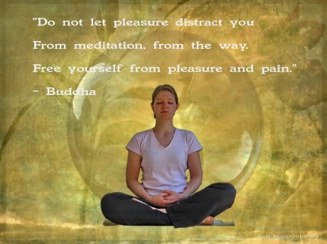Buddha Quote 98 